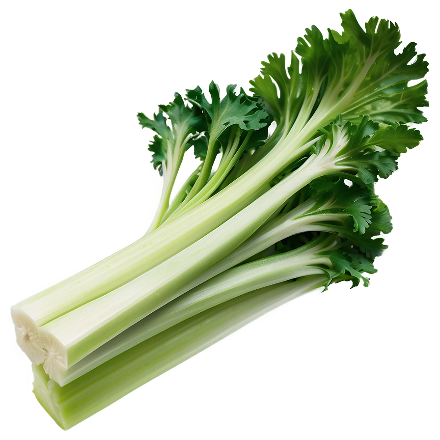 Celery Piece Png 50