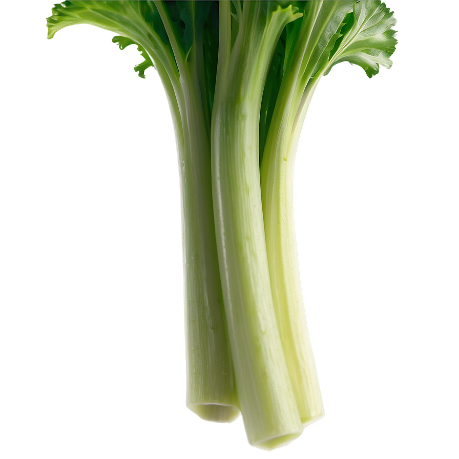 Celery Stalk Png 64