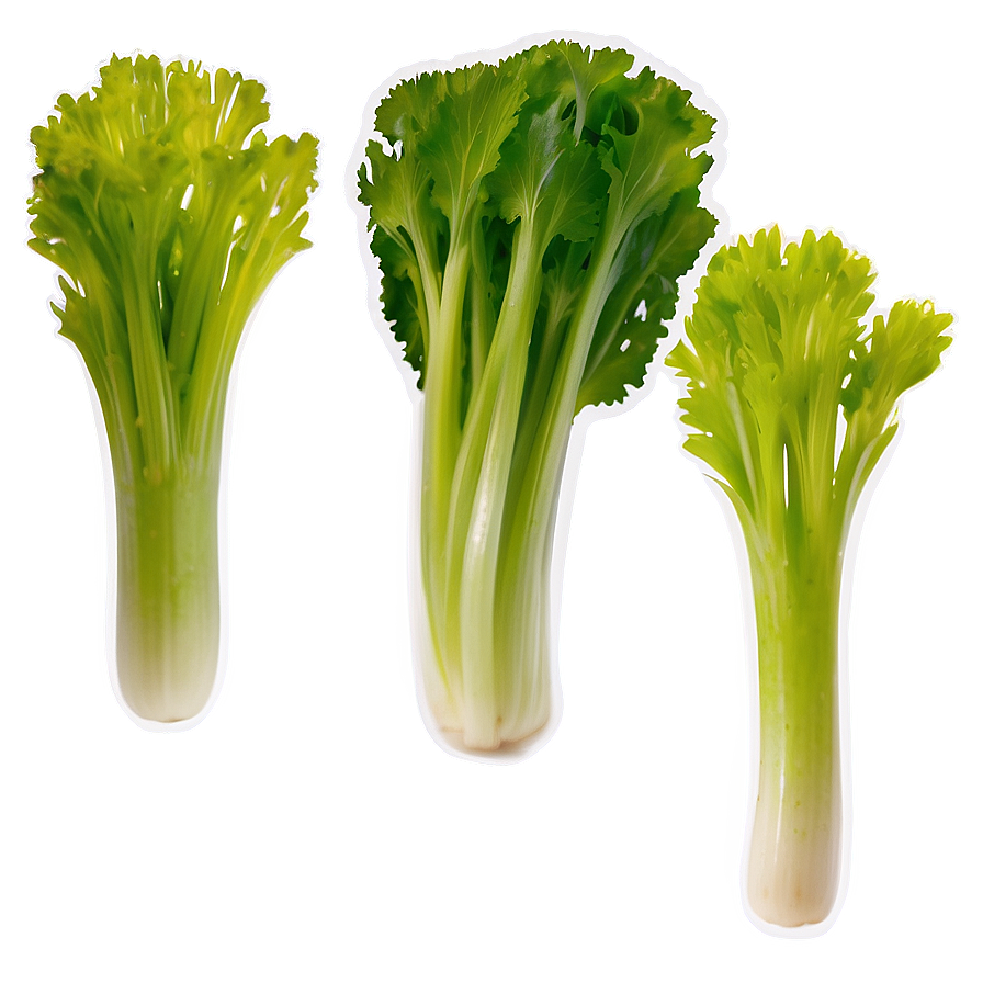 Celery Vegetable Png Tih25