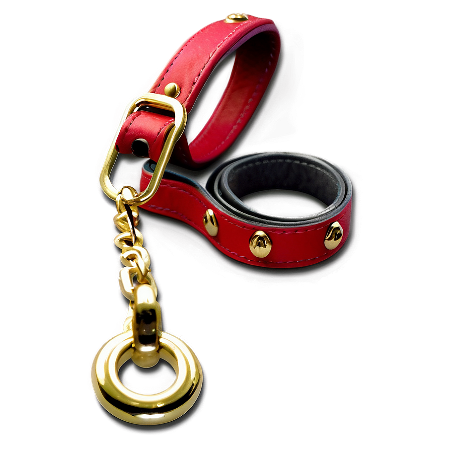 Chain Dog Leash Png 3