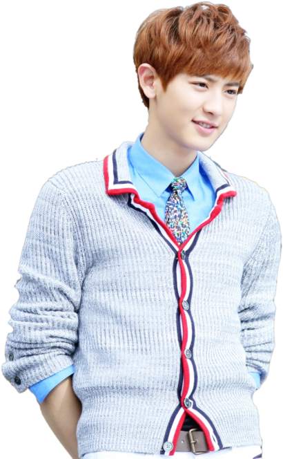 Chanyeolin Casual Knitwear