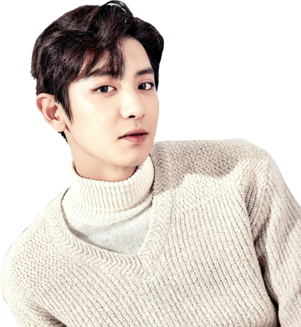 Chanyeolin White Turtleneck Sweater