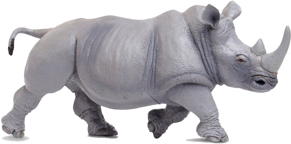 Charging Rhinoceros Isolated