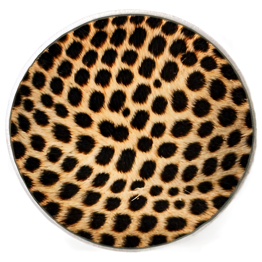 Cheetah Print Fabric Look Png 32