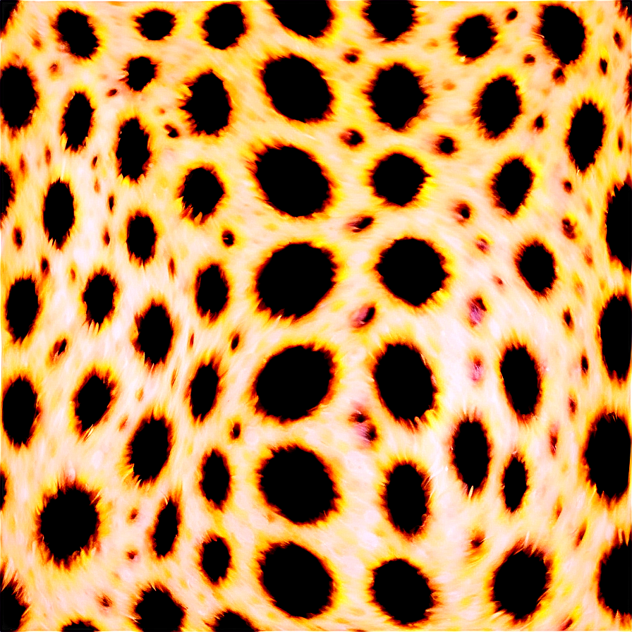 Cheetah Print For Print And Web Png Koq