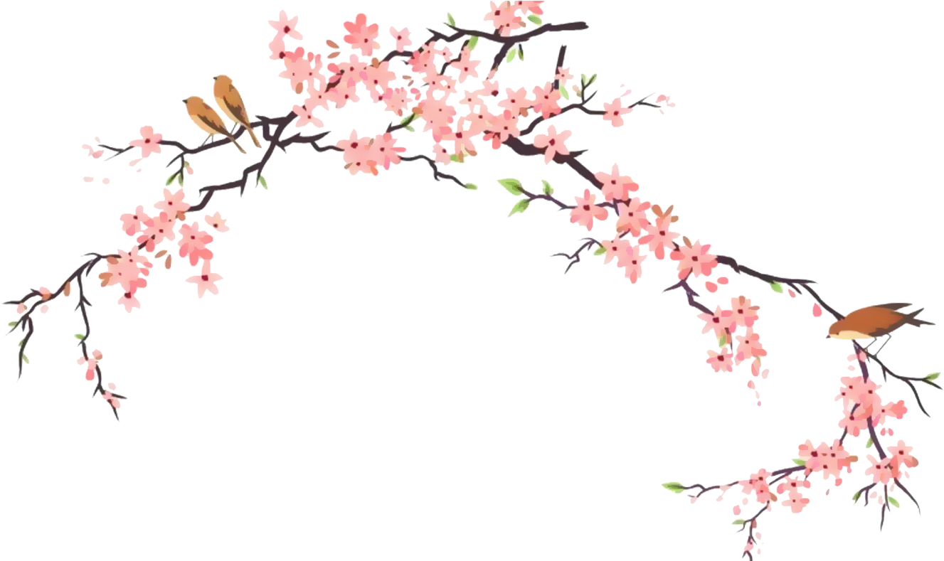 Cherry Blossom Branch Illustration