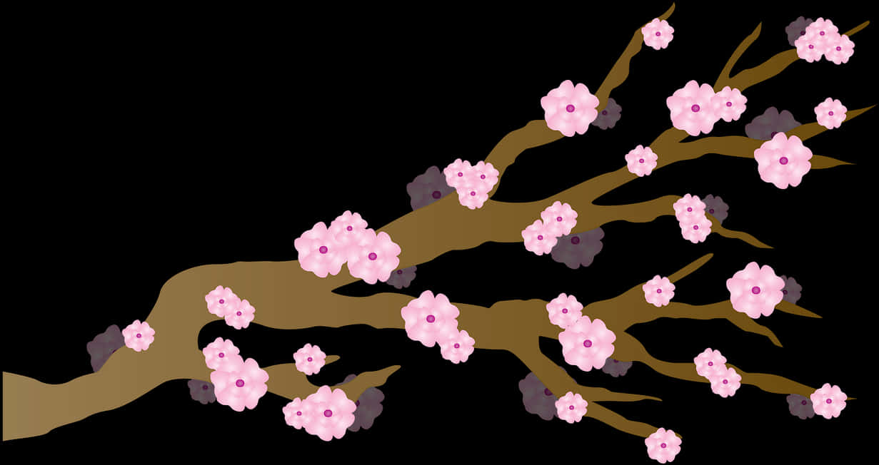 Cherry Blossom Branches Illustration
