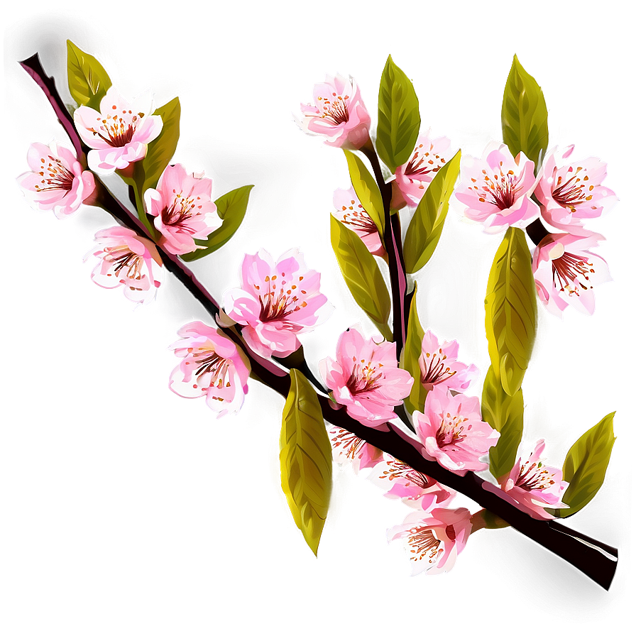 Cherry Blossom Branches Png Ash