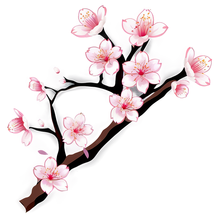 Cherry Blossom Decal Png 06272024