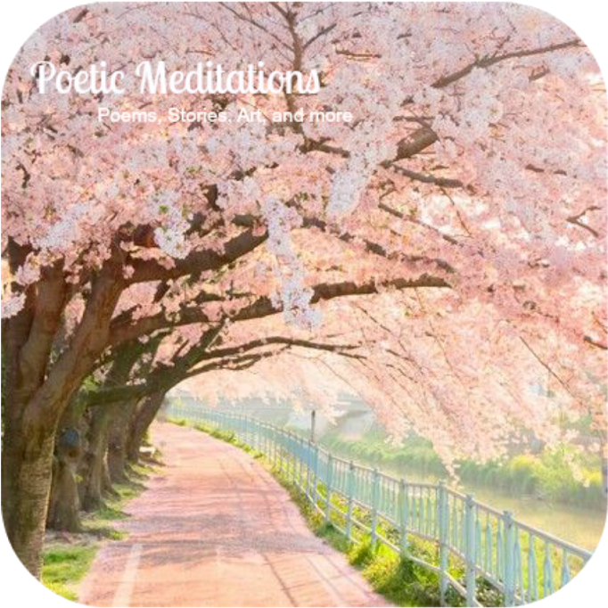 Cherry Blossom Pathway Poetic Meditations