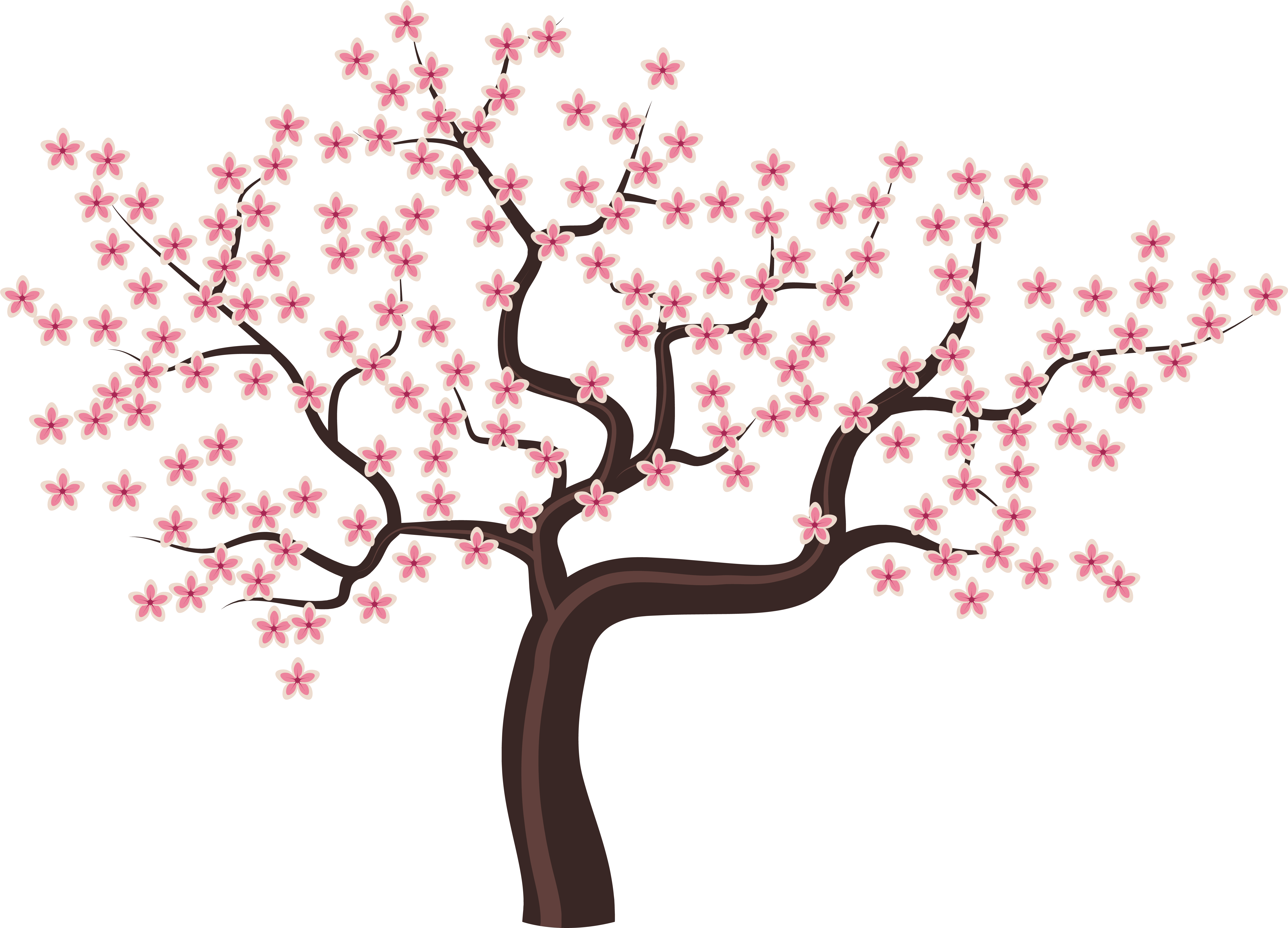 Cherry Blossom Tree Illustration