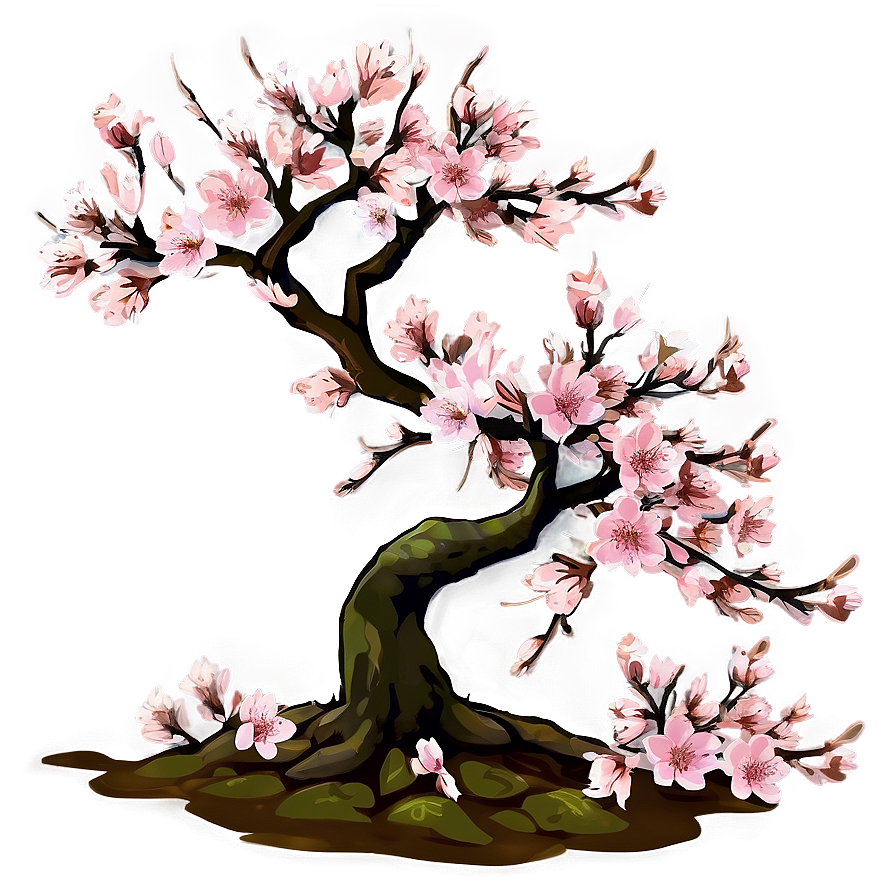 Cherry Blossom Tree Png 71