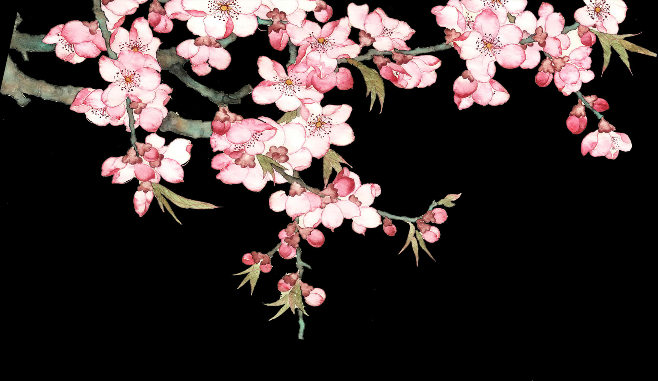 Cherry Blossoms Artistic Representation