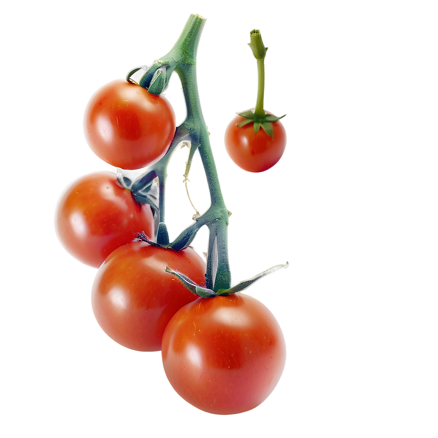 Cherry Tomato Png 83