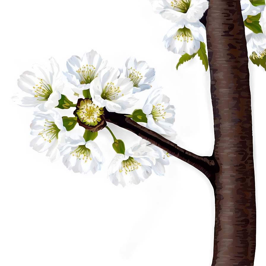 Cherry Tree Art Png 79