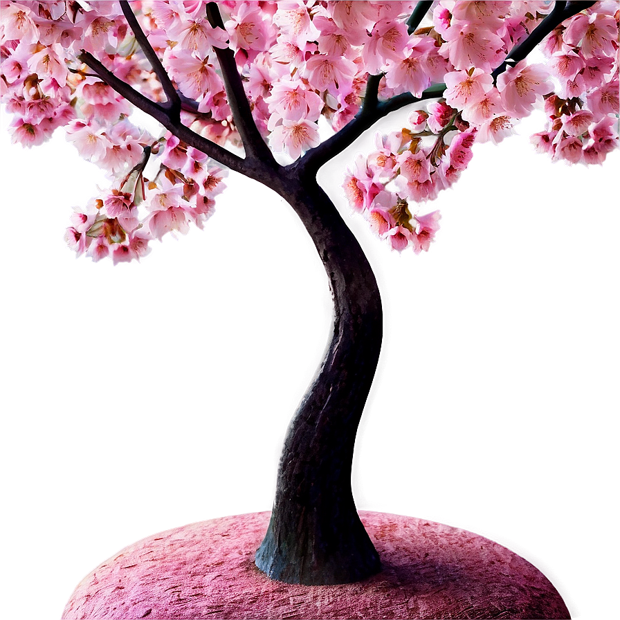 Cherry Tree Wallpaper Png 06212024