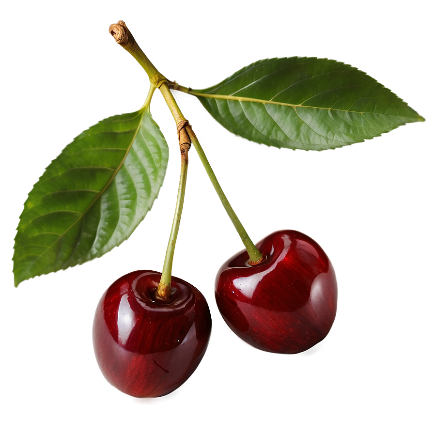 Cherry With Leaf Png Tmy