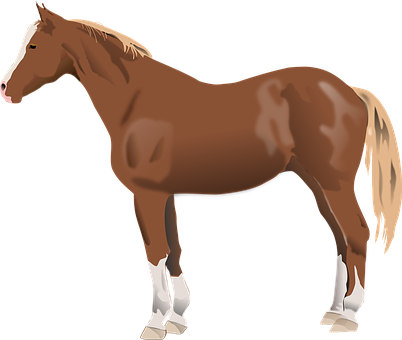 Chestnut Horse Illustration