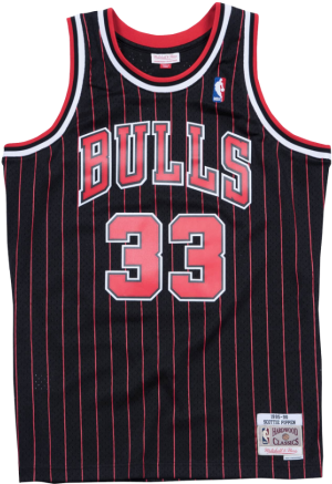 Chicago Bulls33 Jersey