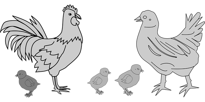 Chicken Family Silhouette