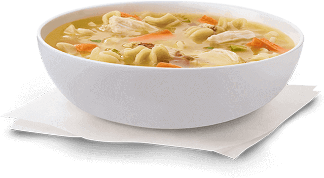 Chicken Noodle Soup Bowl