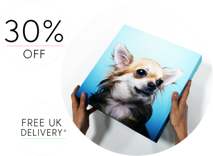 Chihuahua Portrait Canvas Discount Offer