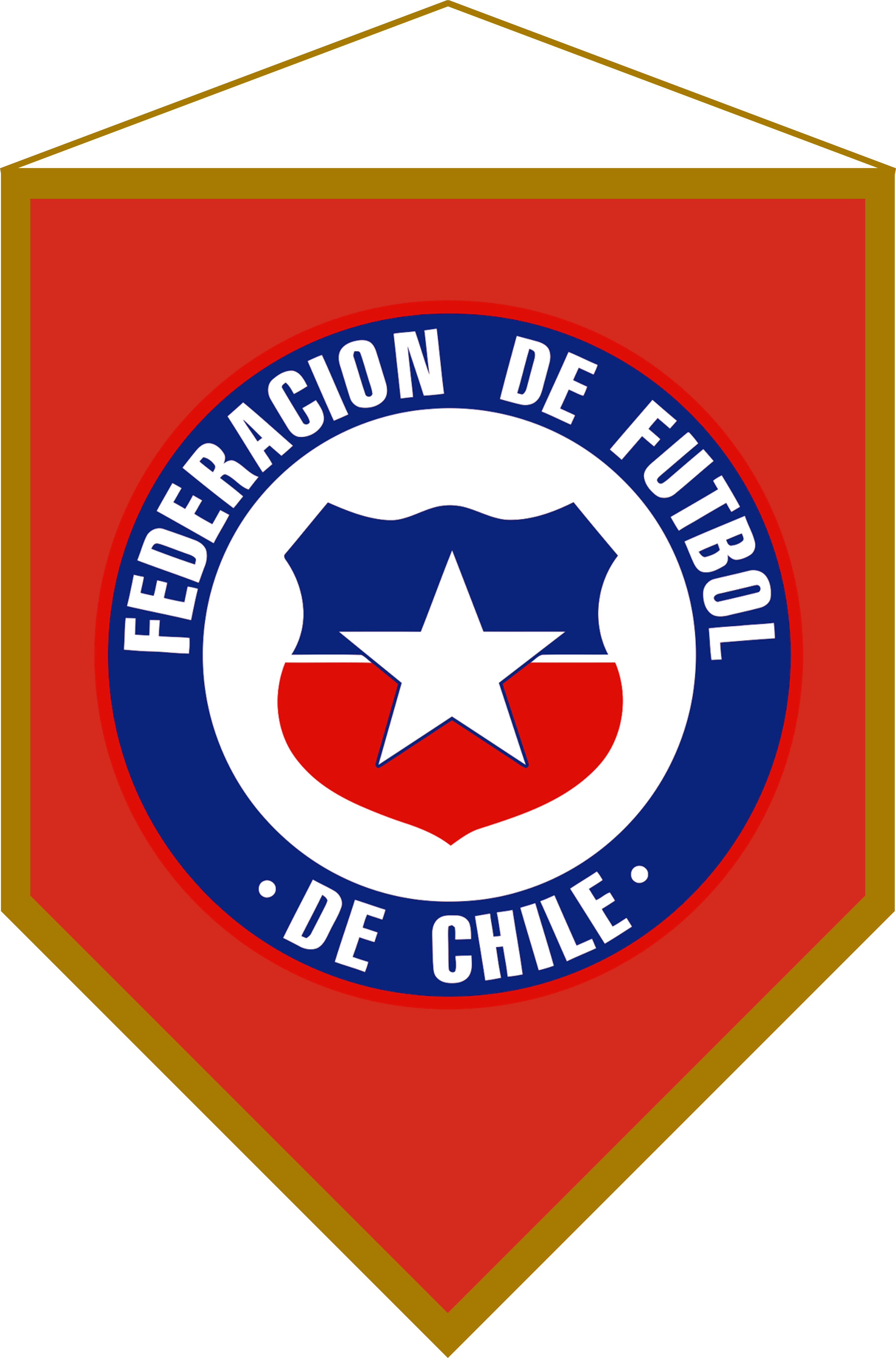 Chilean Football Federation Pennant