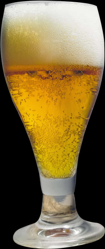 Chilled Beer Glass Frothy Head