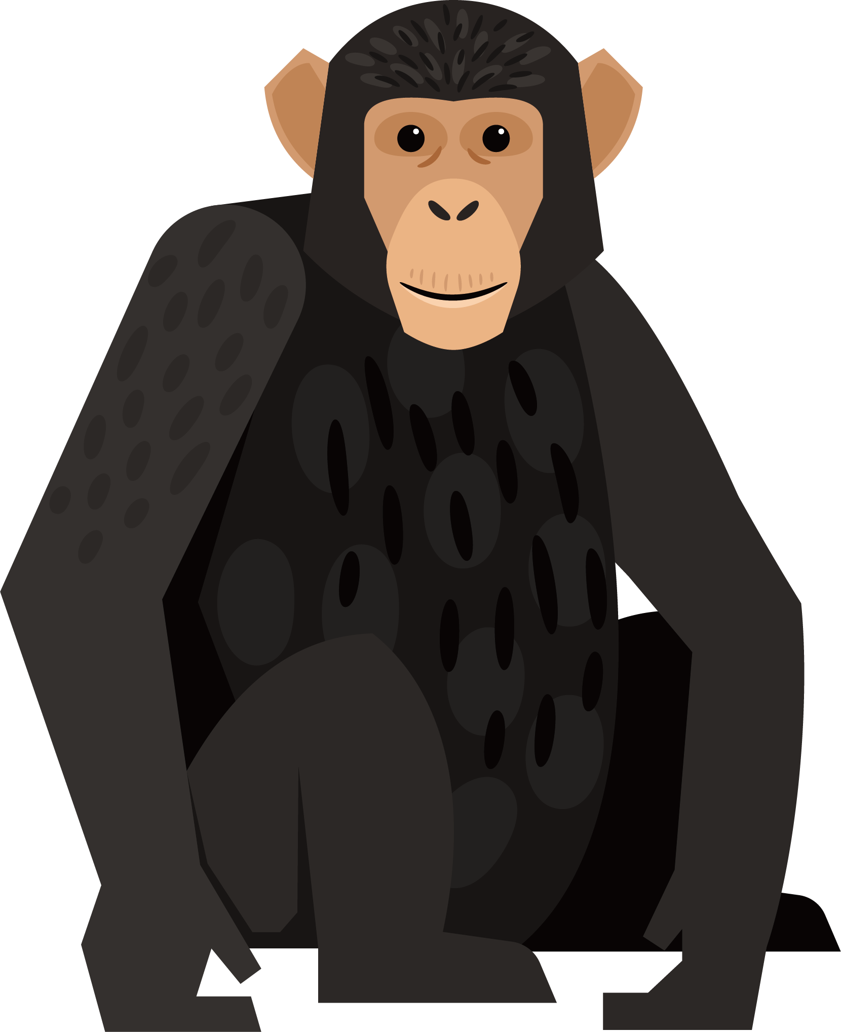 Chimpanzee Vector Illustration