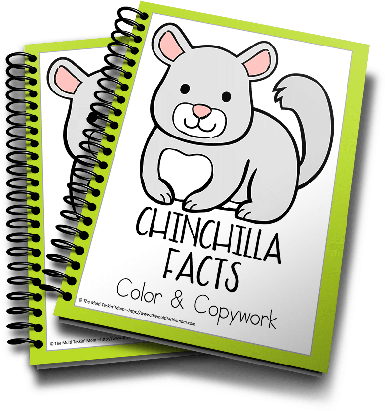 Chinchilla Facts Coloring Book Cover