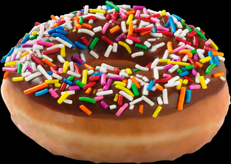 Chocolate Sprinkled Donut.jpg