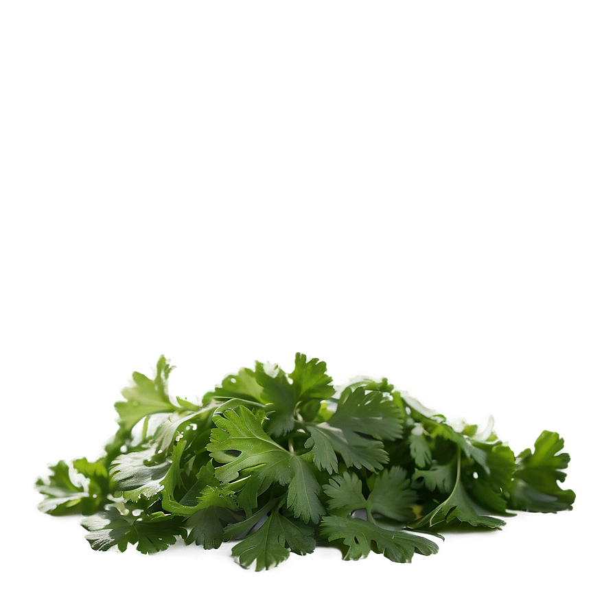 Chopped Cilantro Png Lif6