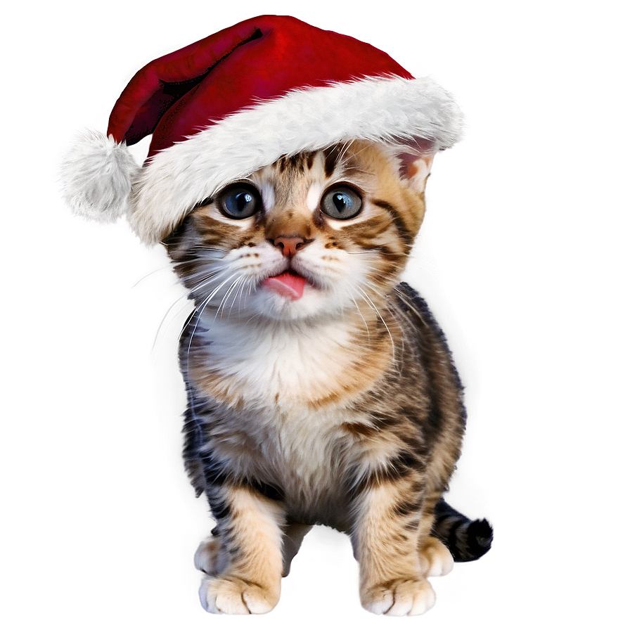 Christmas Cat Meme Png Qpv94