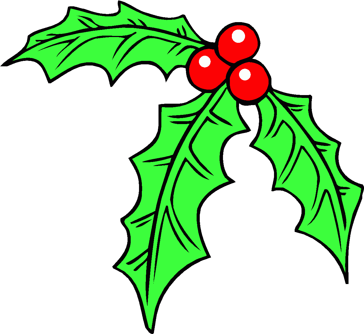 Christmas Holly Clipart