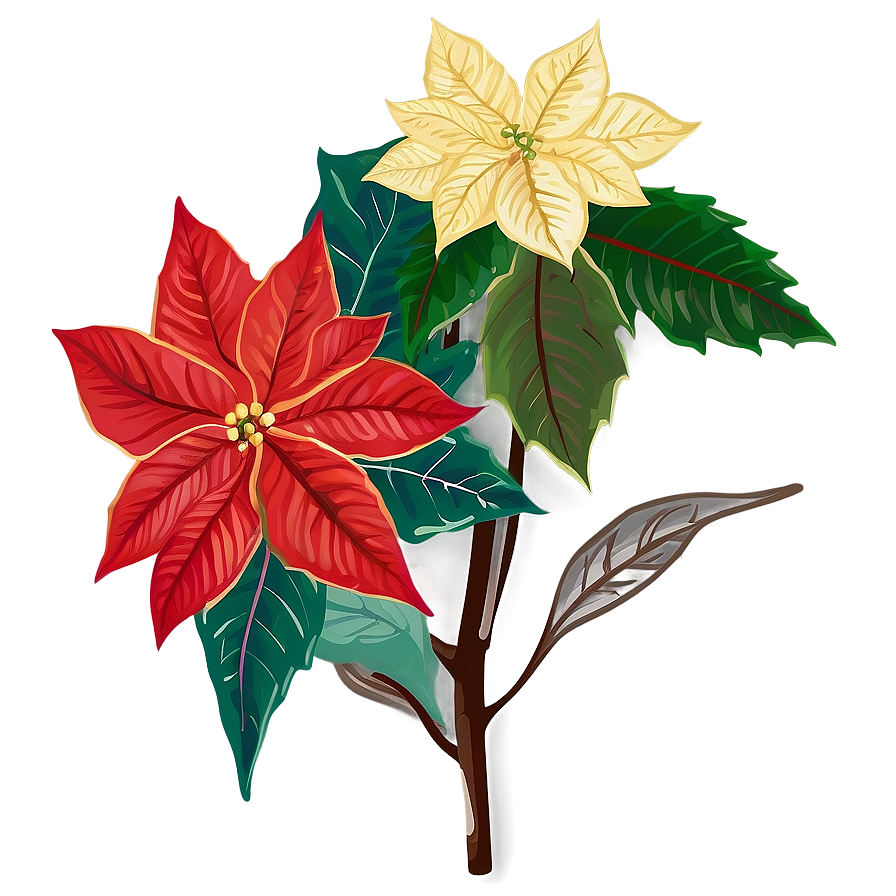 Christmas Poinsettia Flower Png Dpb93