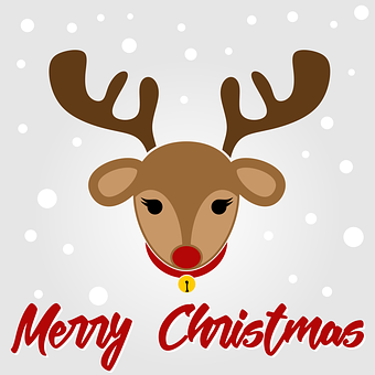 Christmas Reindeer Greeting Card