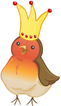 Christmas Robin Crown Illustration