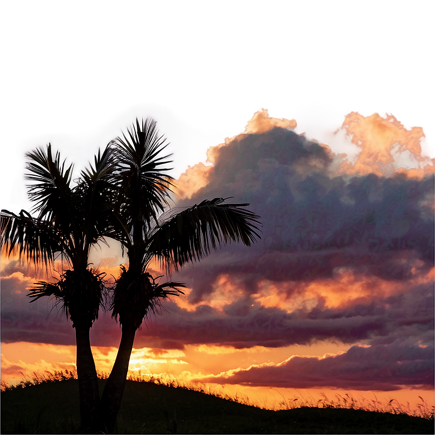 Cielo Sunset Silhouette Png 06252024