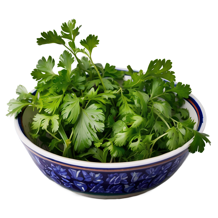 Cilantro In Bowl Png 64