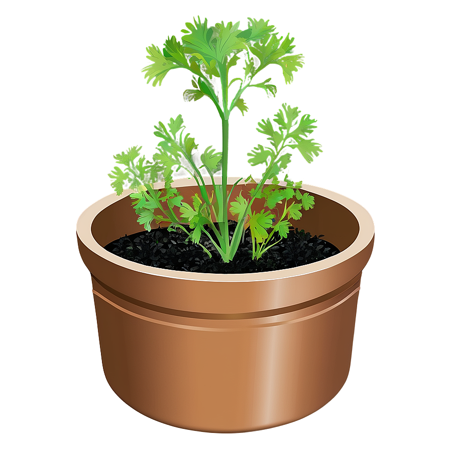 Cilantro In Pot Png Vxn