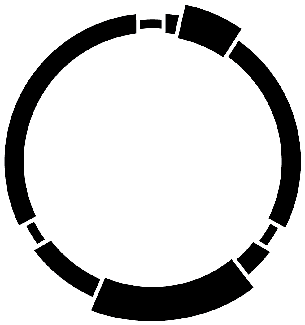 Circular Loading Icon Blackand White