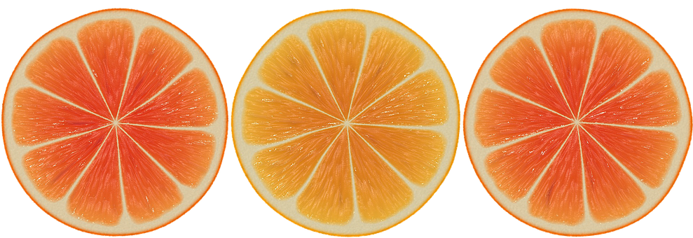 Citrus Slices Triptych