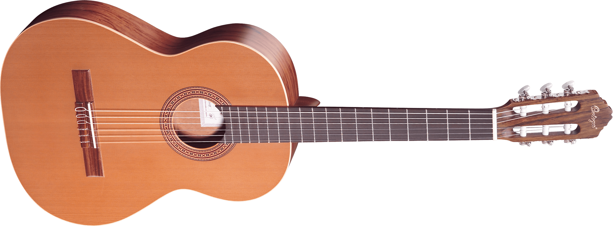 Classic Acoustic Guitar