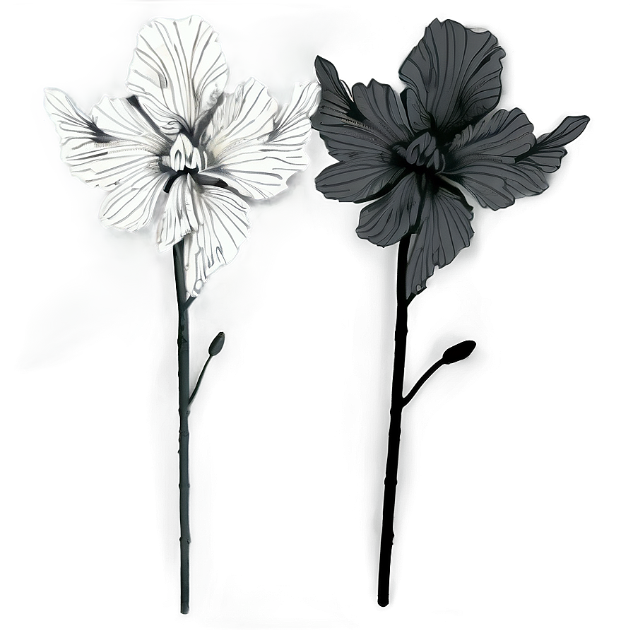 Classic Black And White Floral Png Oaj