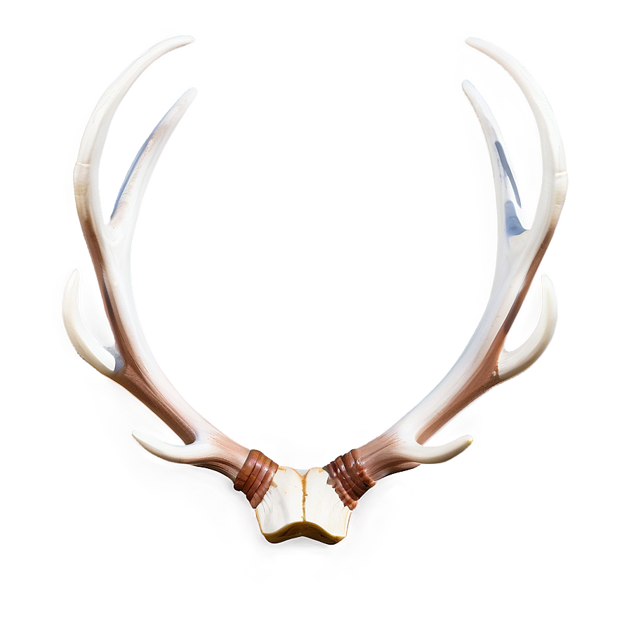 Classic Deer Antler Image Png 06122024