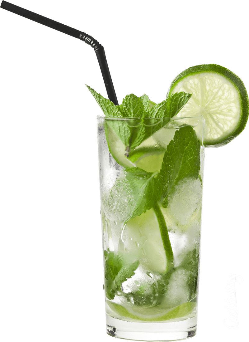 Classic Mojito Cocktail Glass