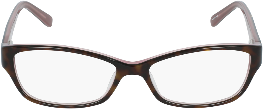 Classic Tortoiseshell Eyeglasses Transparent Background