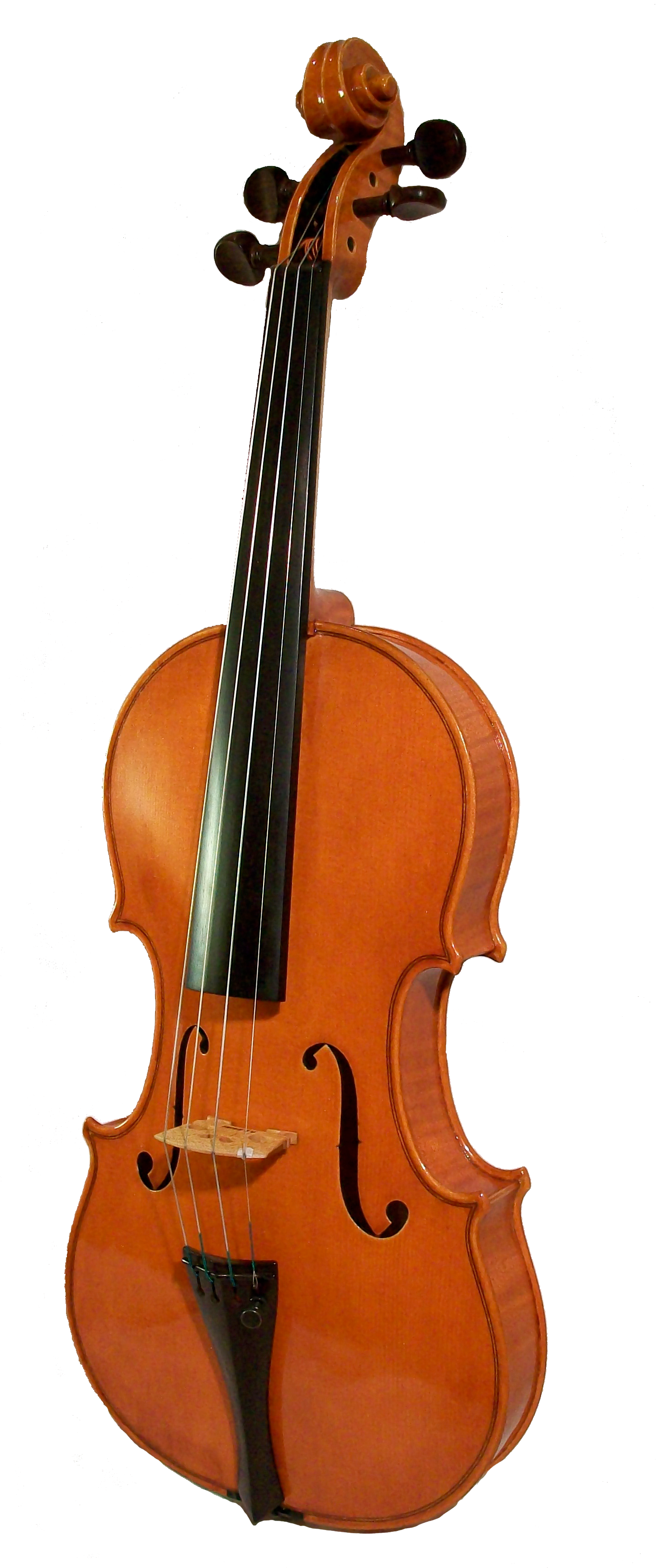 Classic Violin Isolatedon Blue Background.png
