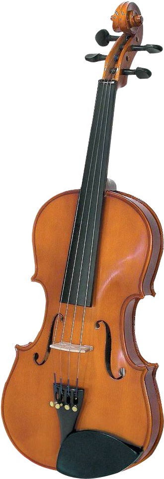Classic Violin Isolatedon Gray