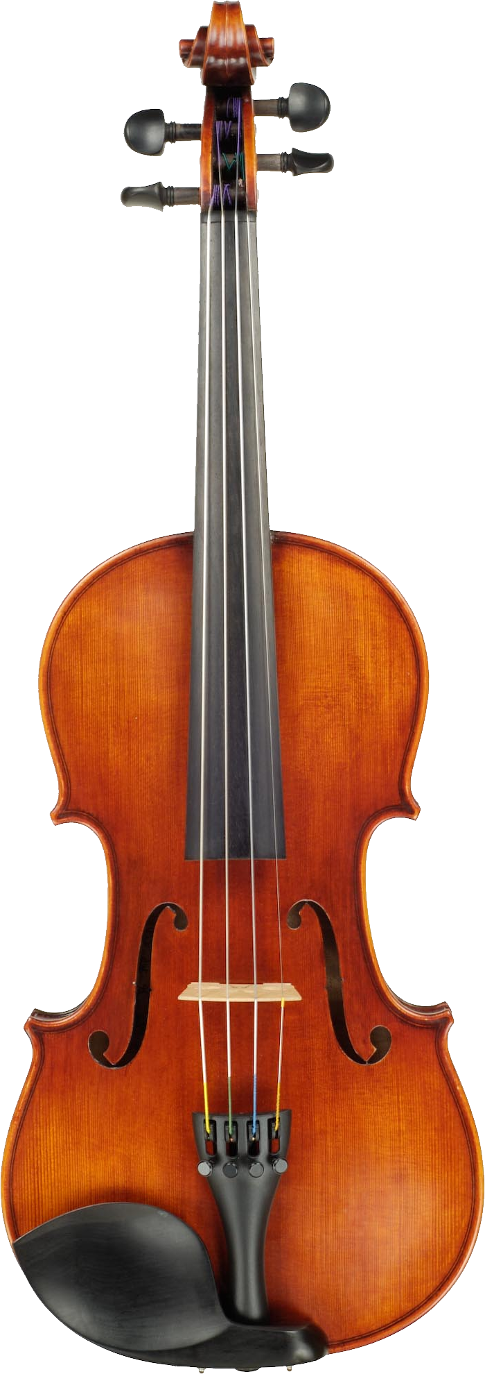 Classic Violin Portrait